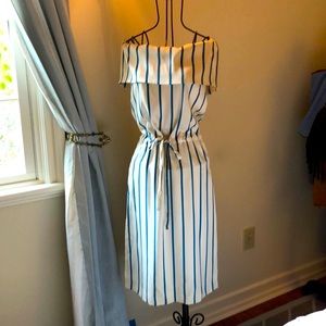 Blue and White classic stripe dress.